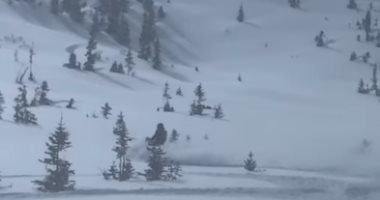 لحظة نجاة 5 متزلجين أمريكيين من انهيار ثلجى.. فيديو