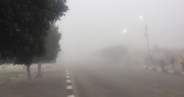 غلق طريق "الإسماعيلية – القاهرة" ومحور 30 يونيو بسبب الشبورة الكثيفة.. صور