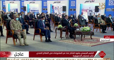 الرئيس السيسى: الدولة المصرية جادة وأمينة ومخلصة في مواجهة التحديات