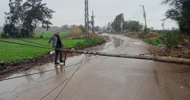 سقوط عامود إنارة فى قرية بالمنصورة بسبب الطقس السيئ 