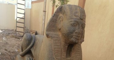 الآثار تقرر نقل تمثال "أبو صوير" شبيه "أبو الهول" لمتحف الإسماعيلية.. صور