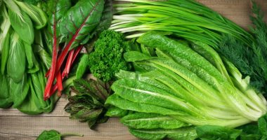 الخضراوات الورقية مفتاحك لصحة جيدة.. السبانخ تدعم صحة العظام والنعناع يحسن الهضم
