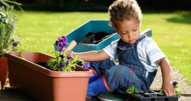 نباتات يمكنك تعليم أطفالك زراعتها فى المنزل بسهولة.. أبرزها البطاطا 