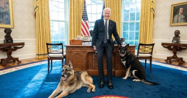 الرئيس الأمريكى جو بايدن يستقبل "كلابه" فى المكتب البيضاوى.. صور