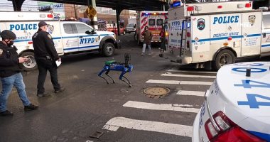 روبوت كلب بكاميرا وذكاء اصطناعى يساعد فى تحقيقات الشرطة الأمريكية