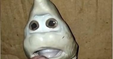 صياد إندونيسى يعثر على سمكة قرش بوجه غريب.. فيديو وصور