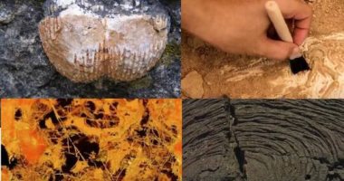 باحثة بجامعة المنصورة: نحدد عمر الحفريات من خلال الصخور