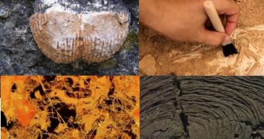 العثور على حفريات فطرية يعود تاريخها إلى 630 مليون عام فى الصين