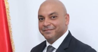 نائب التنسيقية محمود القط يرصد دور مصر لدعم القضية الفلسطينية