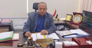 رئيس "كهرباء مصر العليا": توصيل التيار الكهربائى لاستصلاح 40 ألف فدان بتوشكى