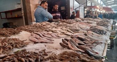 حكاية سوق أسماك بورسعيد.. قِبلة الزوار وفيه خير البحر من الأسماك والبحريات.. صور