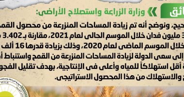 الحكومة: زيادة مساحات القمح المزروعة إلى 3.418 مليون فدان الموسم الحالي