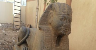 الآثار تنقل اليوم تمثال "أبوصوير" شبيه "أبو الهول" لمتحف الإسماعيلية.. صور