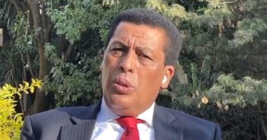 متحدث خارجية إثيوبيا لـ"سكاي نيوز": أمن ومياه مصر والسودان لن يمسا"