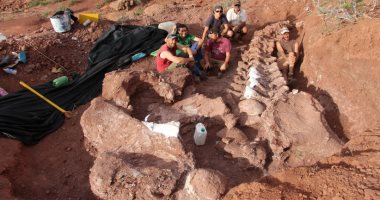 اكتشاف حفريات ضخمة فى الأرجنتين تشير لأحد أقدم وأضخم فصائل الديناصورات