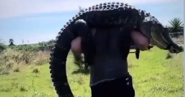 لاعب كرة قدم أمريكى يحمل تمساح طوله 3 أمتار بعد اصطياده فى فلوريدا.. فيديو وصور