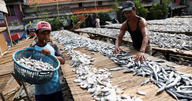 التجفيف بالشمس.. عادات وتقاليد صناعة الأسماك فى جاكارتا