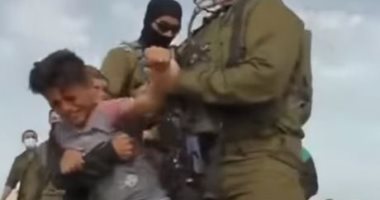لحظة اعتقال إسرائيل خمسة أطفال فلسطينيين بزعم جمع نباتات جنوب الخليل