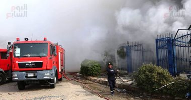 السيطرة على حريق بأشجار النخيل بطريق إسكندرية الصحراوى