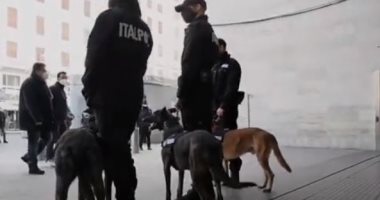 الكلاب البوليسية