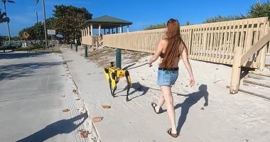امرأة تصطحب كلب روبوتى تبلغ تكلفته 75000 دولار على شاطئ فلوريدا.. صور