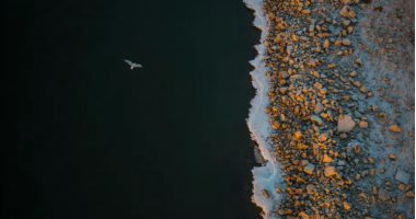 100 صورة عالمية.. "النهر والجليد والطائر" حكاية تعاقب الفصول 