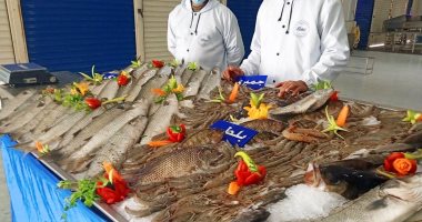 أسماك غليون من منتجات بلدنا.. أعادت أنواع مندثرة للسوق المصرى ..صور وفيديو