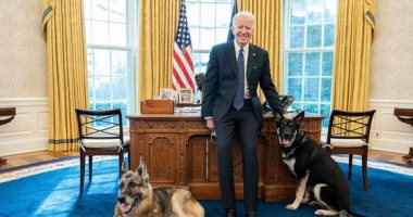 بعد عضه أحد أفراد الأمن .."بايدن" عن كلبه: لطيف ومعظم سكان البيت الأبيض يحبونه
