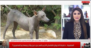 لا يوجد حيوان اسمه "السلعوة" .. تغطية خاصة من "تليفزيون اليوم السابع"