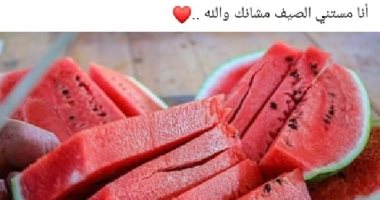 السوشيال ميديا تودع الشتاء بكوميكس التكييف وصور البطيخ "مستنيين الصيف عشانك"