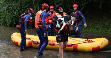 فيضانات سيدنى.. مهمة استثنائية لإنقاذ 20 كلبا فى استراليا.. صور
