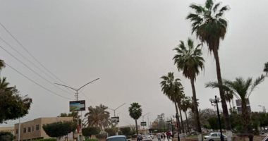 رياح على مدن كفر الشيخ واستمرار توقف الملاحة بميناء الصيد بالبرلس.. فيديو وصور