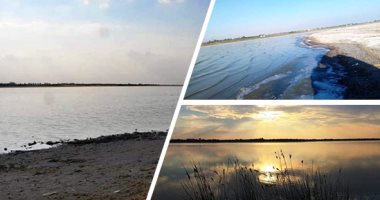محظورات بقانون تنمية البحيرات.. صيد الطيور لحمايتها وتطويرها الأبرز