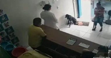 كلب مصاب يدخل عيادة بيطرية فى البرازيل طلبا للمساعدة.. اعرف الحكاية "فيديو وصور"