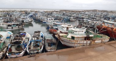 الثروة السمكية لـ إكسترا نيوز: دعم صيادى بحيرة إدكو الأسبوع المقبل