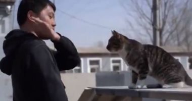 جندى متقاعد يدرب قطته على مهام القوات الخاصة وقفز الحواجز.. فيديو وصور