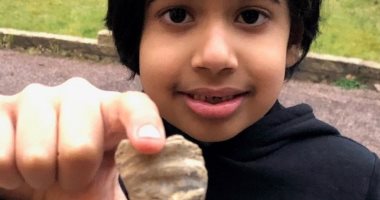 الصدفة تقود طفل بريطاني للعثور على قطعة مرجان عمرها 488 مليون عام .. صور