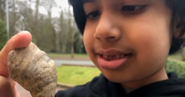 طفل بريطانى يكتشف قطعة أثرية تعود لـ500 مليون سنة فى حديقة منزله
