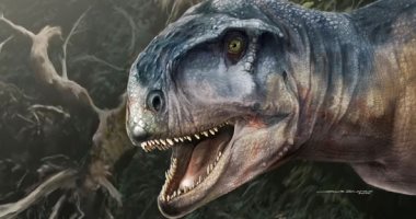 الكشف عن جمجمة ديناصور مفترس عاش فى الأرجنتين قبل 85 مليون سنة