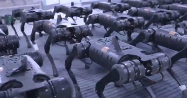 روبوتات صينية ذات أربع أرجل تتحرك فى انسجام وتثير المخاوف