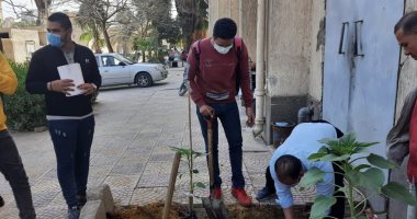 جامعة حلوان تشارك بمبادرة "الشرق الأوسط الأخضر" بزراعة أشجار بمحيط كلية التكنولوجيا