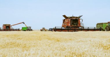 10 معلومات عن صوامع القمح بمحافظة أسوان 