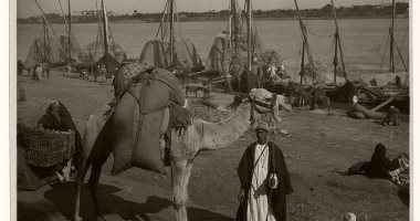 100 صورة عالمية.. طرق نقل البضائع فى مصر على الطريقة القديمة