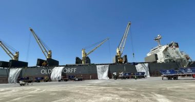 ميناء شرق بورسعيد يستقبل أكبر سفينة صب جاف لشحن 60 ألف طن كلينكر.. صور