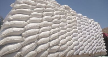 ضبط 2500 كيلو ملح طعام منتهى الصلاحية خلال حملة تموينية بالبحيرة 