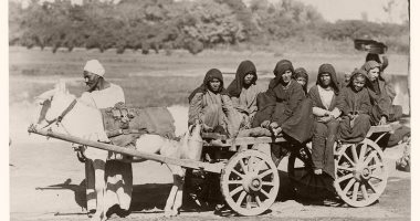 100 صورة عالمية.. "نساء على عربة كارو" مصر فى القرن الـ19