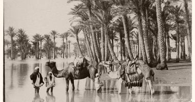 100 صورة عالمية..  "رجال وجمال فى نهر النيل" فى القرن الـ 19