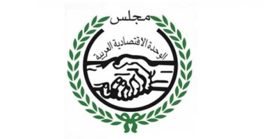 مجلس الوحدة الاقتصادية العربية ينتخب الموريتانى محمدى أحمد أمينا عاما جديدا