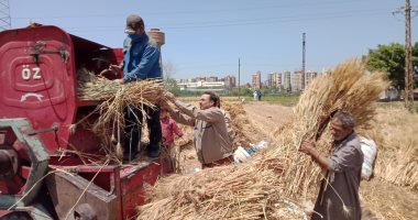 واردات القمح المصرى تتراجع لـ68 مليون دولار فى يونيه الماضى
