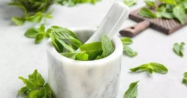 Your treatment from nature… 6 herbs to improve lung health